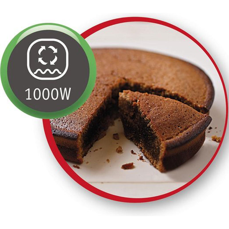 Moulinex Tournebroche Optimo OX485810 - Mini oven