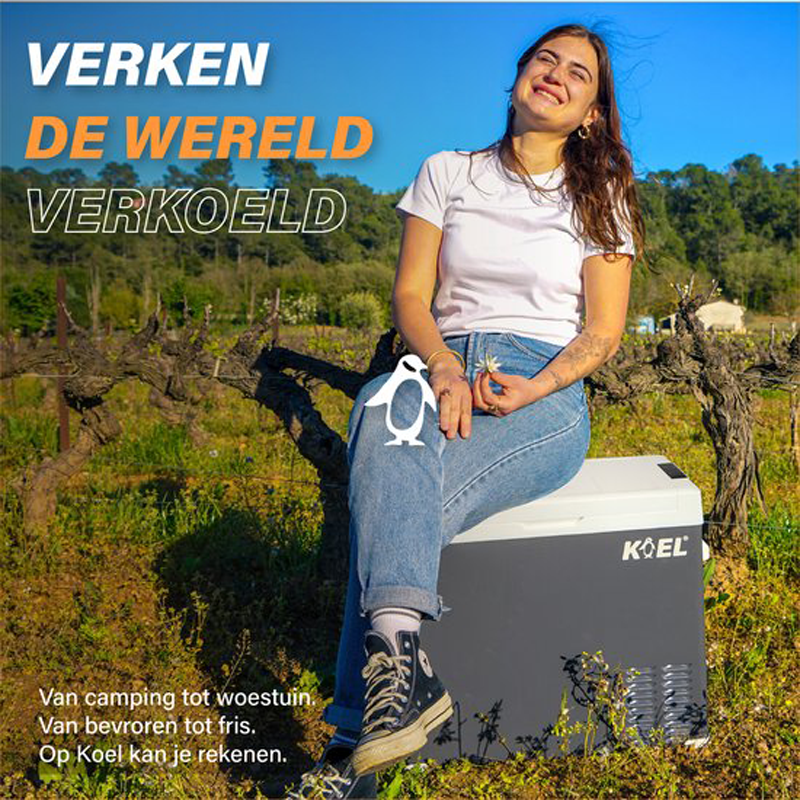 KOEL Crate 40 - Compressor Koelbox Elektrisch 12 en 230 Volt voor Auto - Elektrische Frigobox - Coolbox - 40 Liter